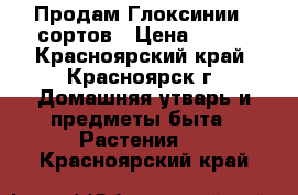 Продам Глоксинии 5 сортов › Цена ­ 170 - Красноярский край, Красноярск г. Домашняя утварь и предметы быта » Растения   . Красноярский край